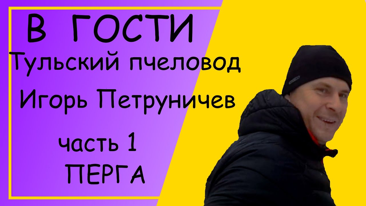 Извлечение перги. В гости  к Тульскому пчеловоду Игорю Петруничеву ч. 1.