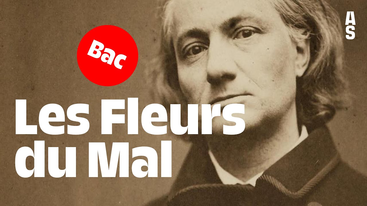 Les Fleurs du Mal, Charles Baudelaire | Bac français 2024