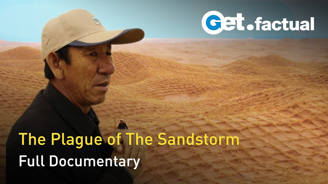 The Fight Against the Sandstorm | Full Documentary