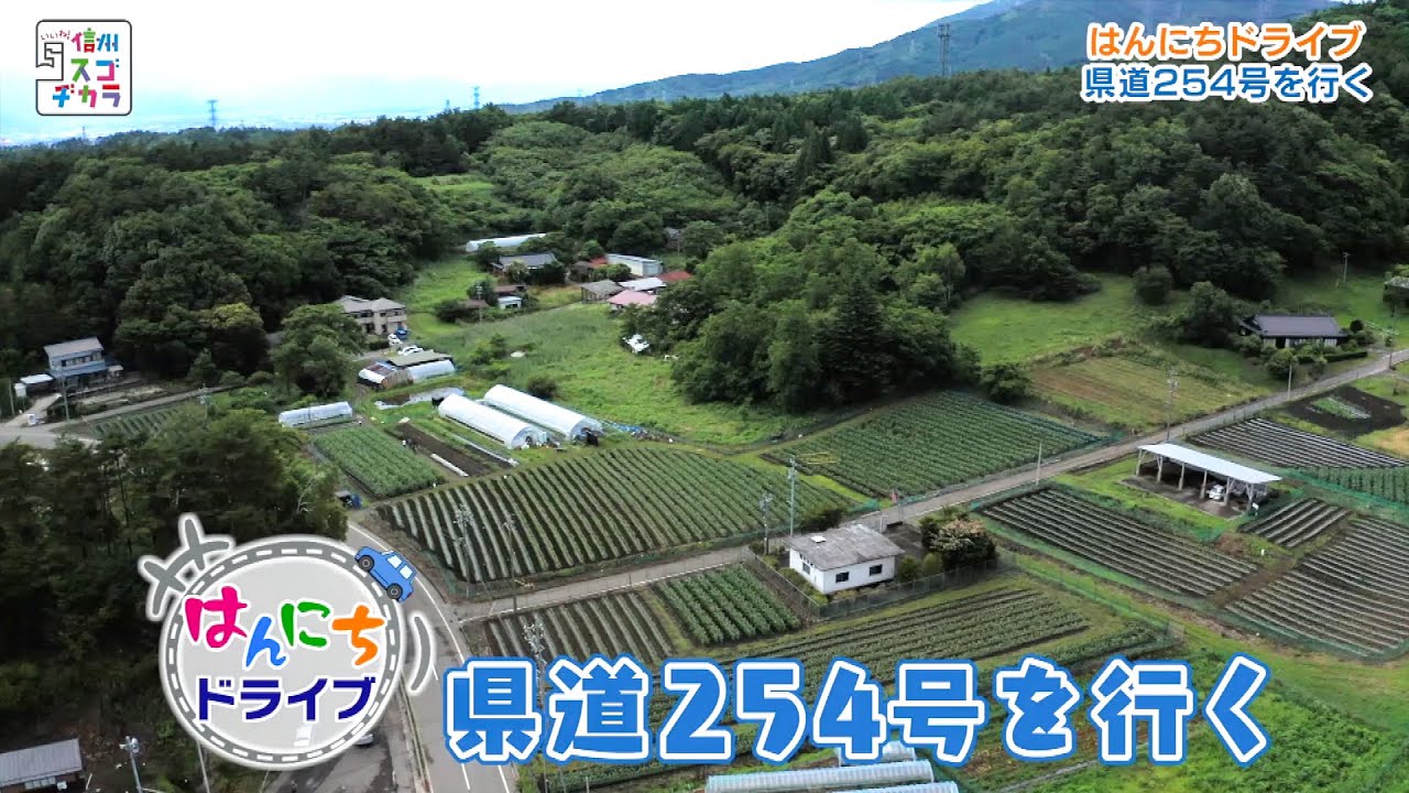 いいね！信州スゴヂカラ（はんにちドライブ 県道254号を行く /2020年07月25日）