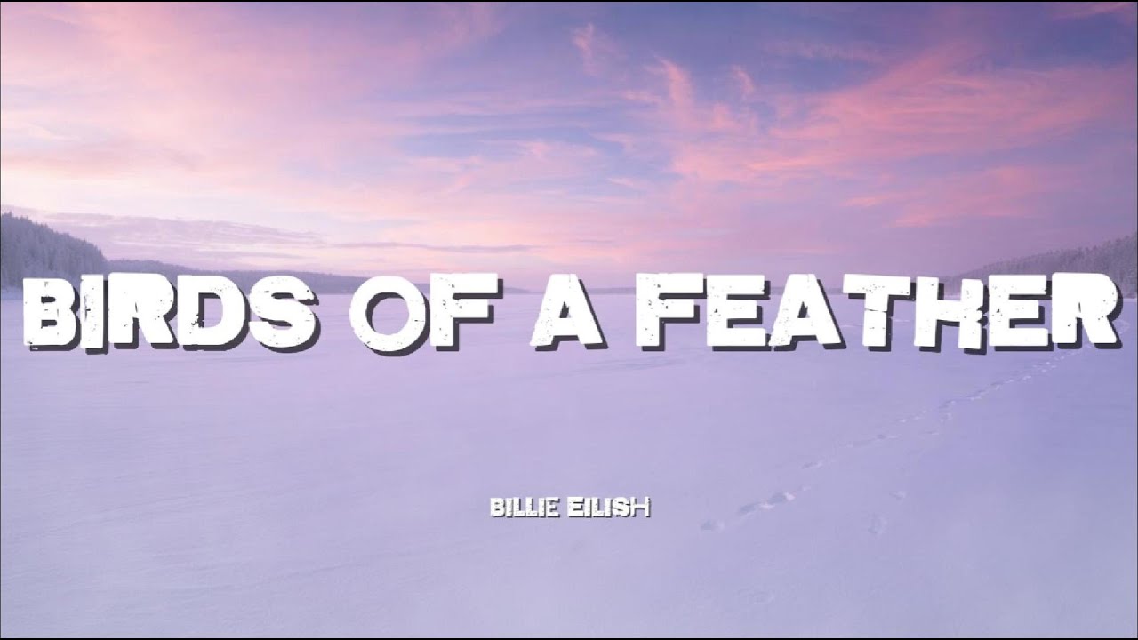 Billie Eilish - BIRDS OF A FEATHER Tiktok Trending music