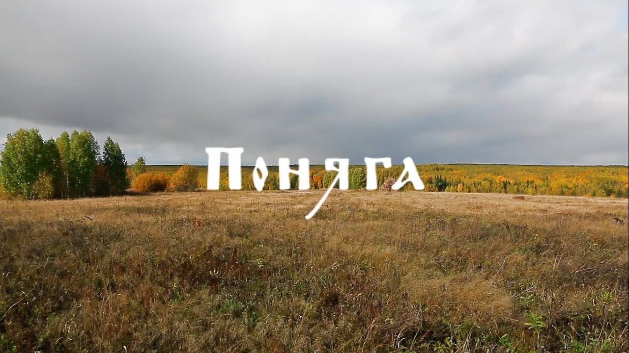 Поняга для охоты и рыбалки  Летний вариант