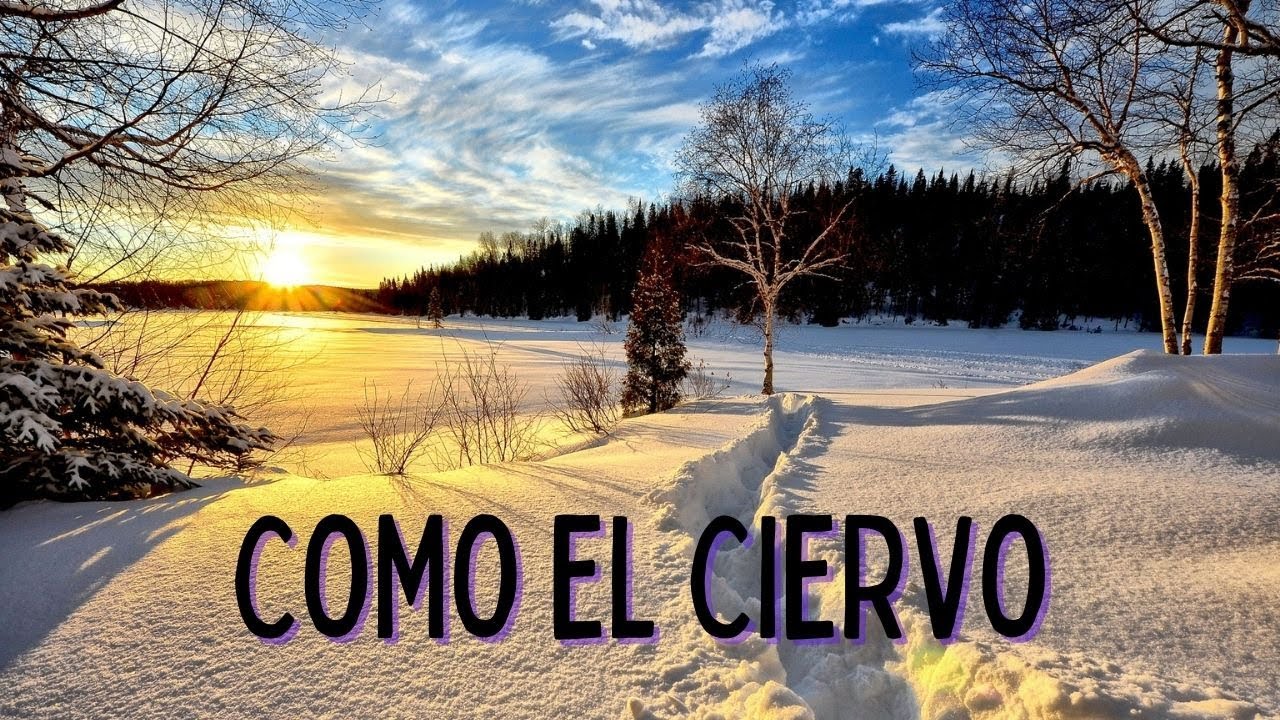 COMO EL CIERVO | Himno Majestuoso #489