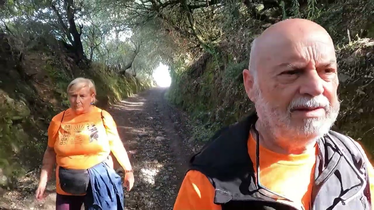 1ª Etapa del Camino de Invierno   Ponferrada    Borrenes   19,9 km    4  10  2024   2025 01 28