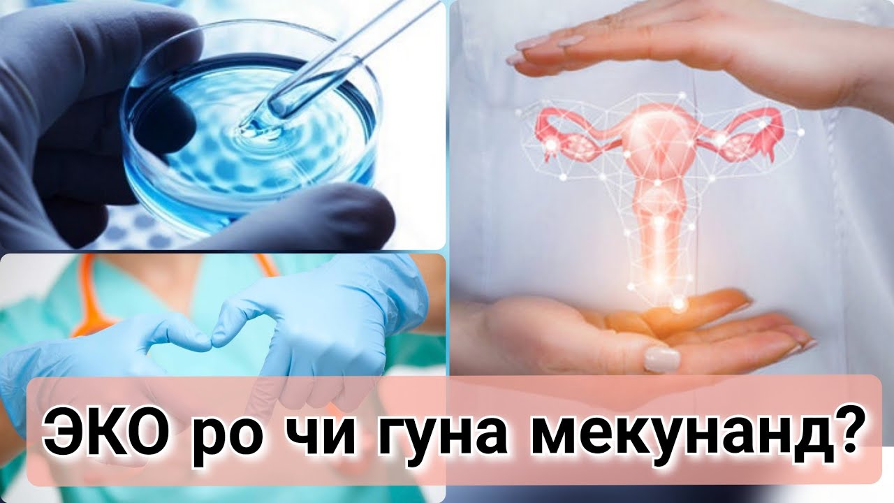 ЭКО. Намудхои ЭКО. Дар кадом холат мекунанд? #намудхоиэко #хаётисолим