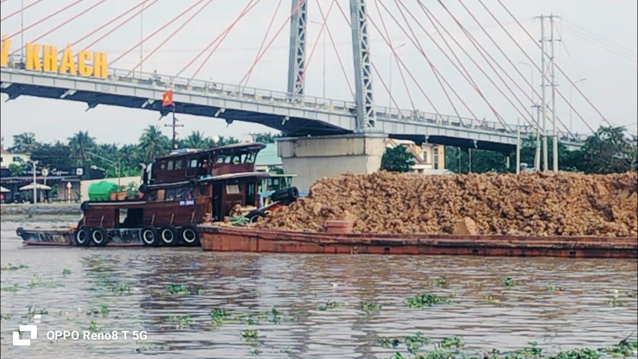 Sà Lan Miền Tây Rất Nhiều.