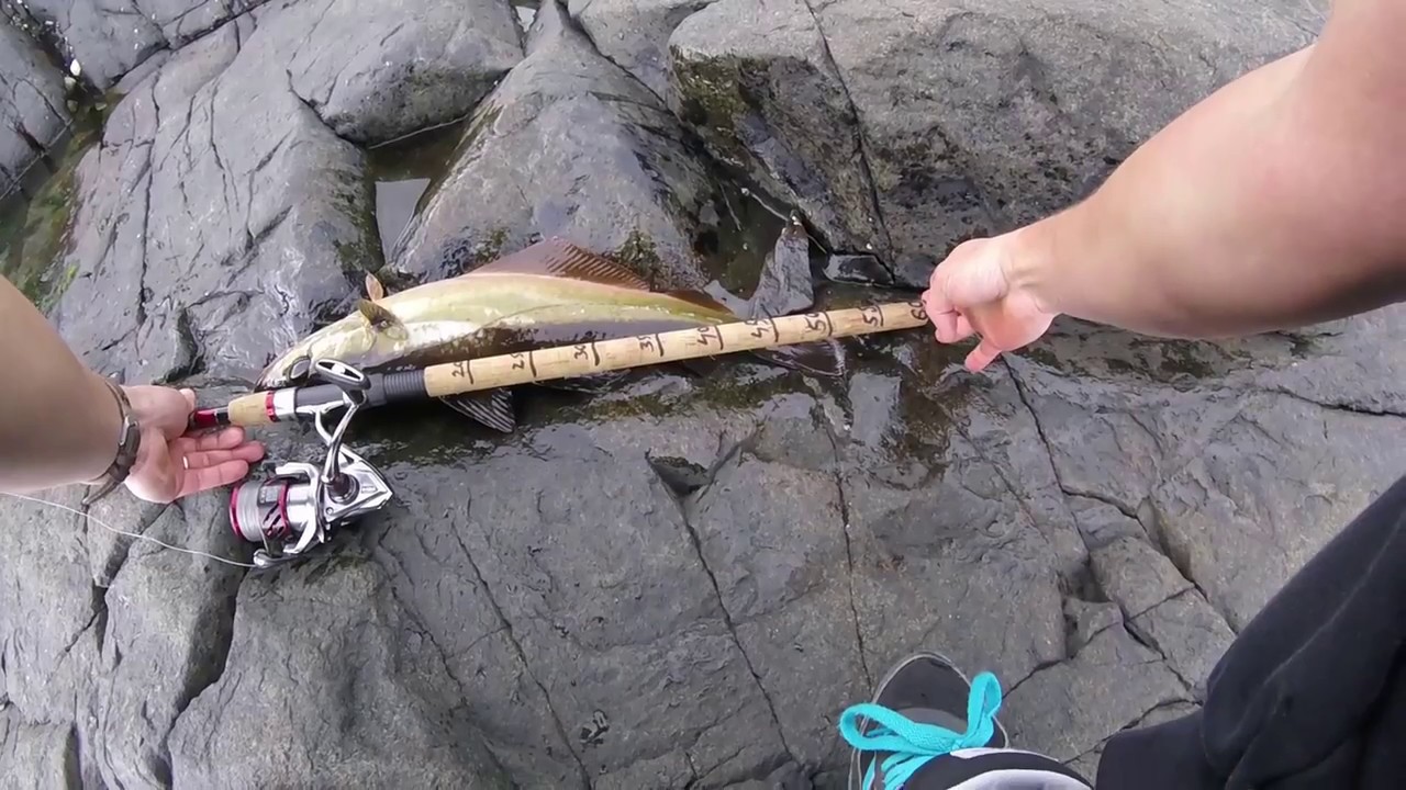 Torr head fishing for the first time ever! caught my PB