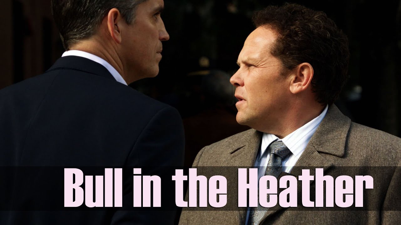 Bull in the Heather | Person of Interest Fanvid | AU Reese/Fusco