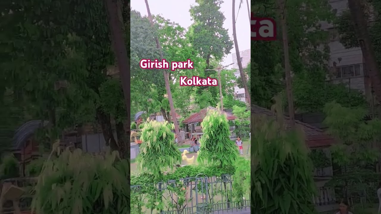 Girish park Kolkata #bhojpuri #trendingshorts