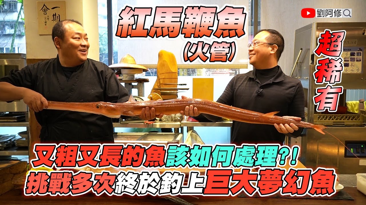 紅馬鞭魚的處理｜釣獲超稀有巨大紅馬鞭魚，又粗又長的魚要如何處理《味留一升庵》人生第一尾～挑戰多次終於釣上巨大夢幻魚