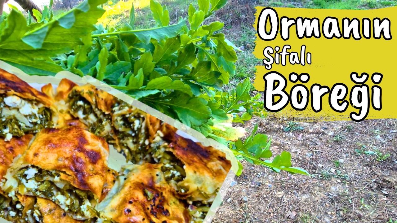 Bug&uuml;n Ormandan Beslendim! 🌲 Topladığım Yabani Otlarla Bol Har&ccedil;lı Şifa B&ouml;reği