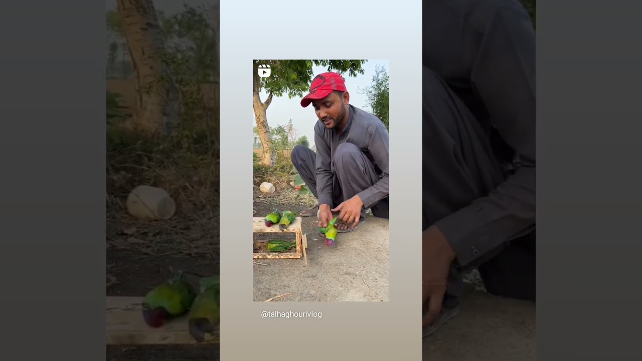bhot bad new hai 😭😭@TalhaGhouriVlogs1@bordervillagesecrets1#dog#pets#shorts#short#birds#viral