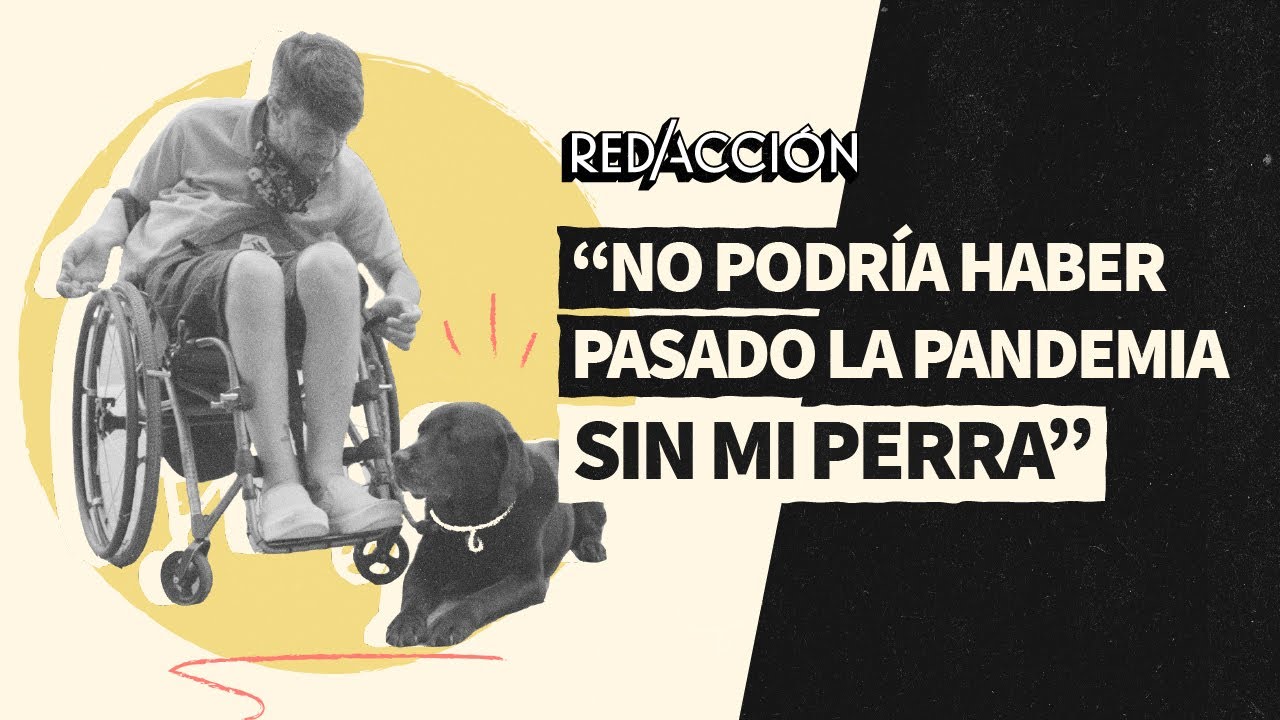 Perros de asistencia: cómo mejoran la vida de las personas con discapacidad