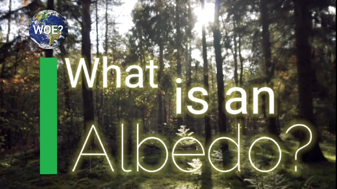 What is an Albedo? | What On Earth?🌎 | Natural World |