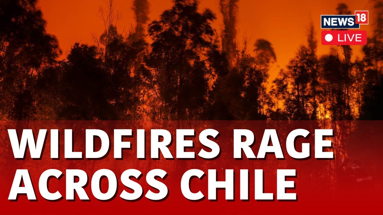 Wildfire In Chile LIVE | Chile Declares State of Emergency After Forest Fires | Chile LIVE News