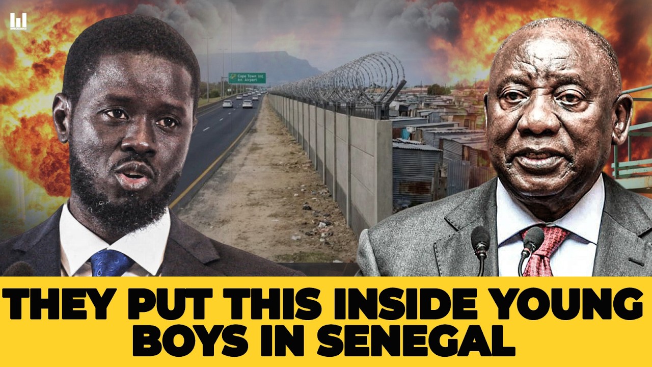 14 FRENCH GRAPISTS ARRESTED IN SENEGAL