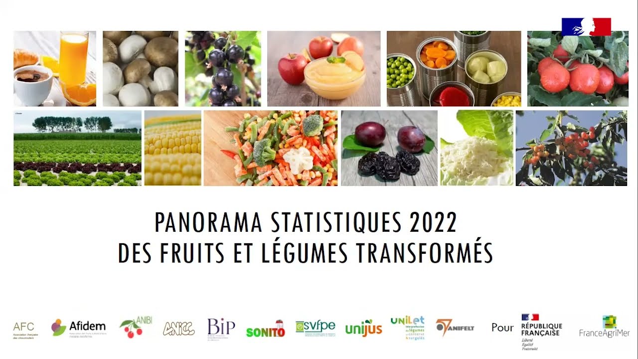 Webinaire : Panorama statistique des fruits et l&eacute;gumes transform&eacute;s en 2022 - 15 d&eacute;cembre 2023