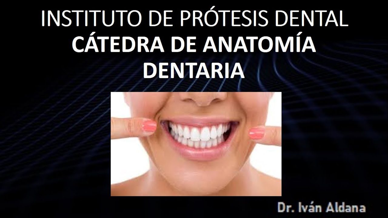 INSTITUTO DE PRÓTESIS DENTAL - ANATOMÍA DENTARIA - Unidad 2.5 y 2.6: PREMOLARES INFERIORES