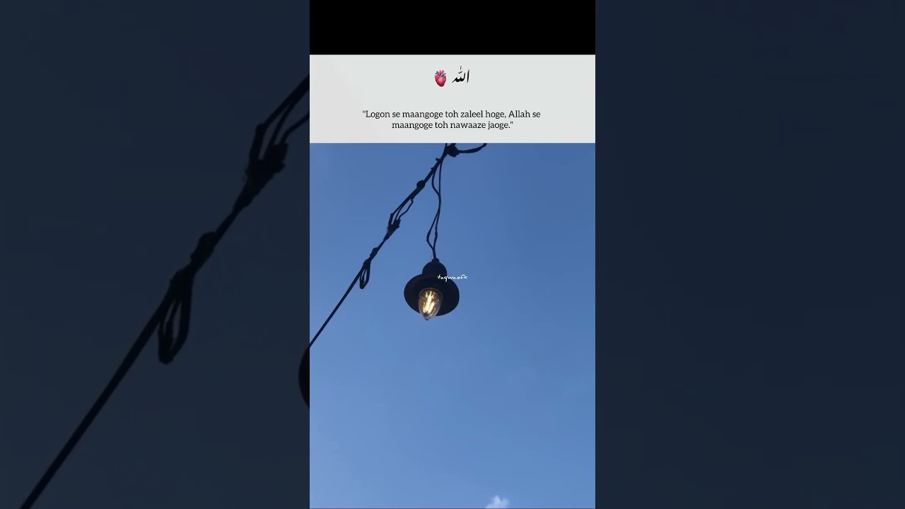 Islamic Videos || Islamic Status || Quran translation 