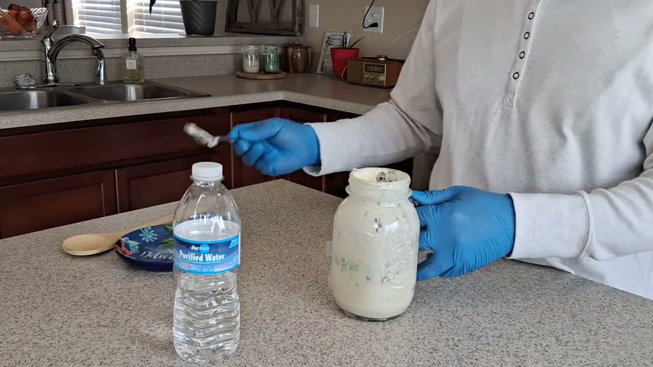 ⭐️Lazy Sourdough Starter For Beginners⭐️