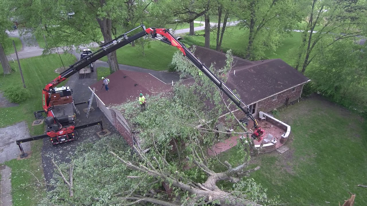 Palfinger Crane with remote control making quick work of fallen tree