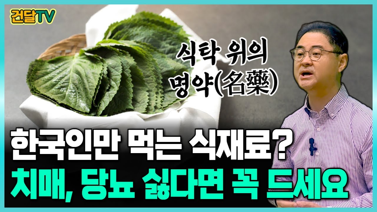 [건달TV] 깻잎의 놀라운 효능! 철분, 항암, 다이어트까지&hellip; 깻잎 안 드시면 무조건 손해인 이유!