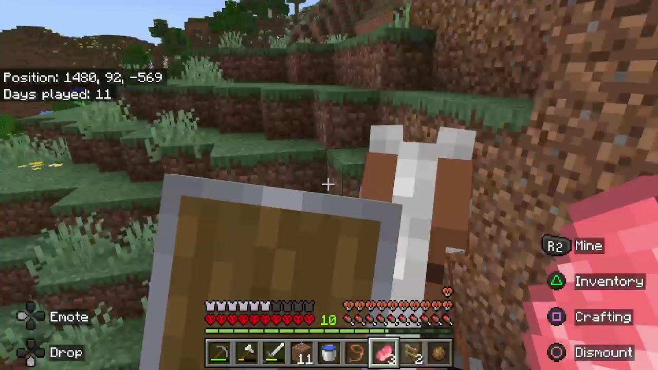 Hardcore Minecraft