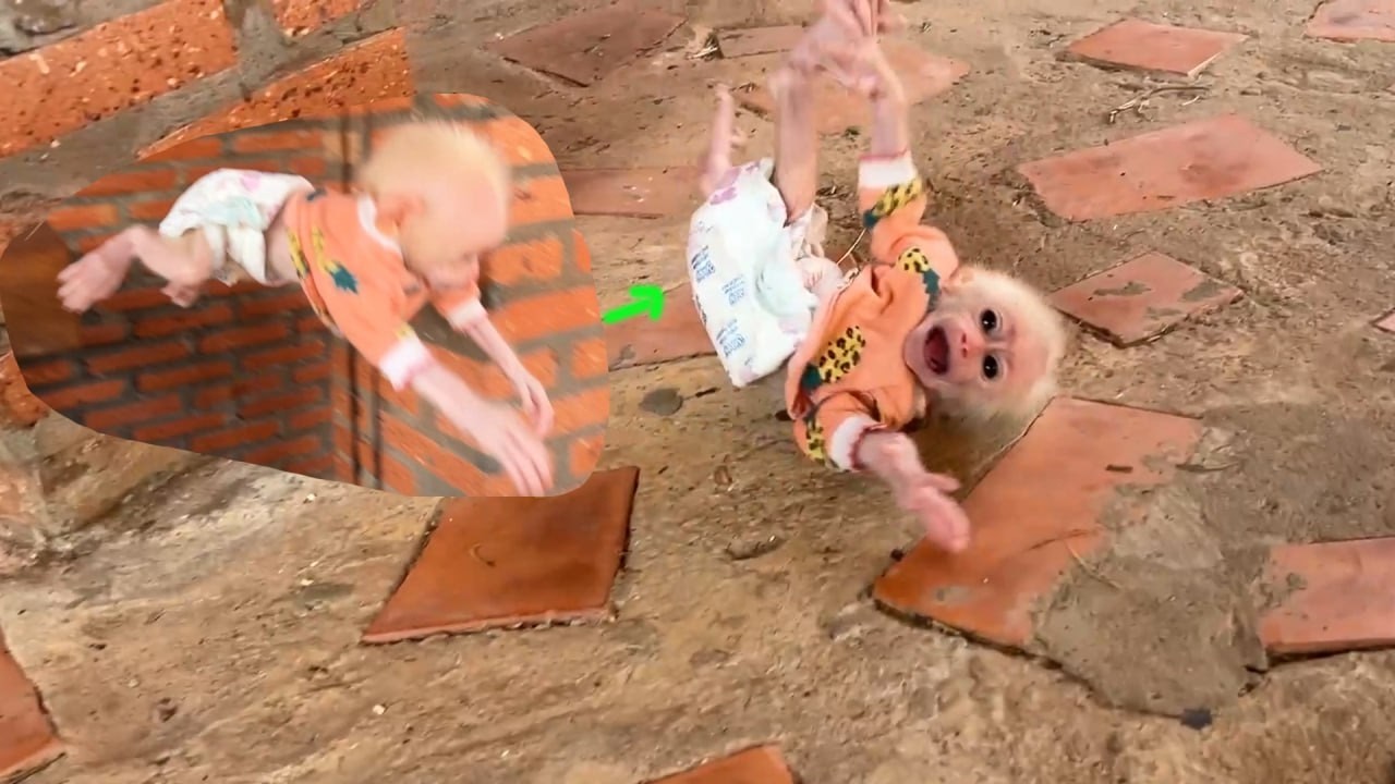 [Mom Sorry]Baby Minea Jump Offf From High Table Just BeCoz She Want To Find Mom