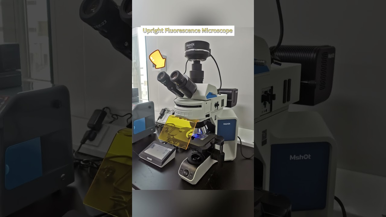 Different types of microscope