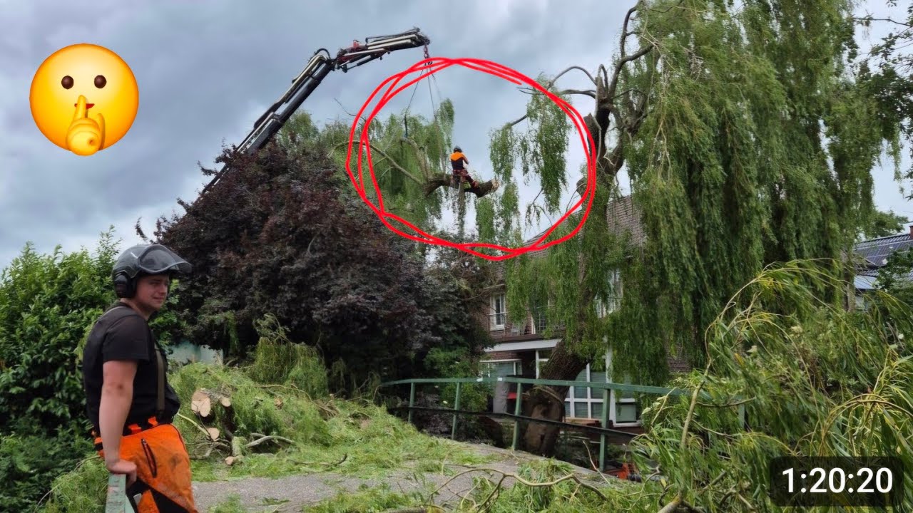 Ich wurde Angezeigt! Die GRÖßTE/GEFÄHRLICHSTE Weide die wir jemals Gefällt haben!Was ist passiert?