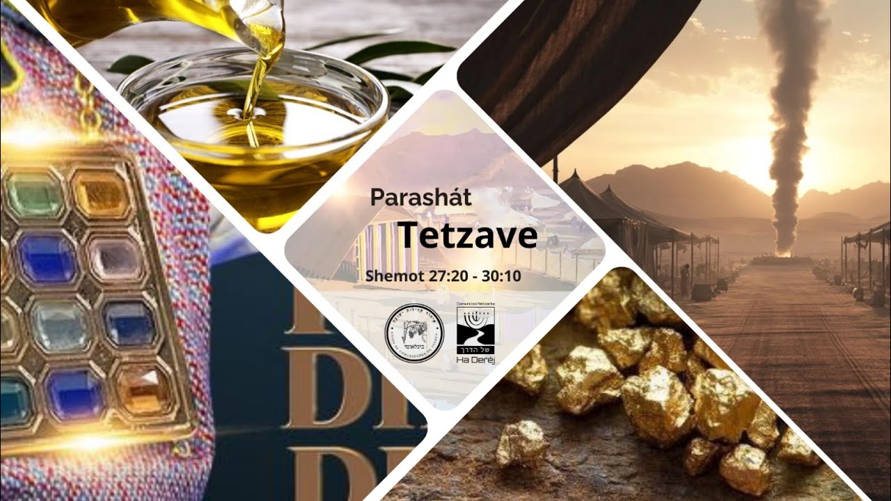 Tetzavé: El Servicio Sagrado y el Llamado a la Santidad — Perspectiva Netzarita