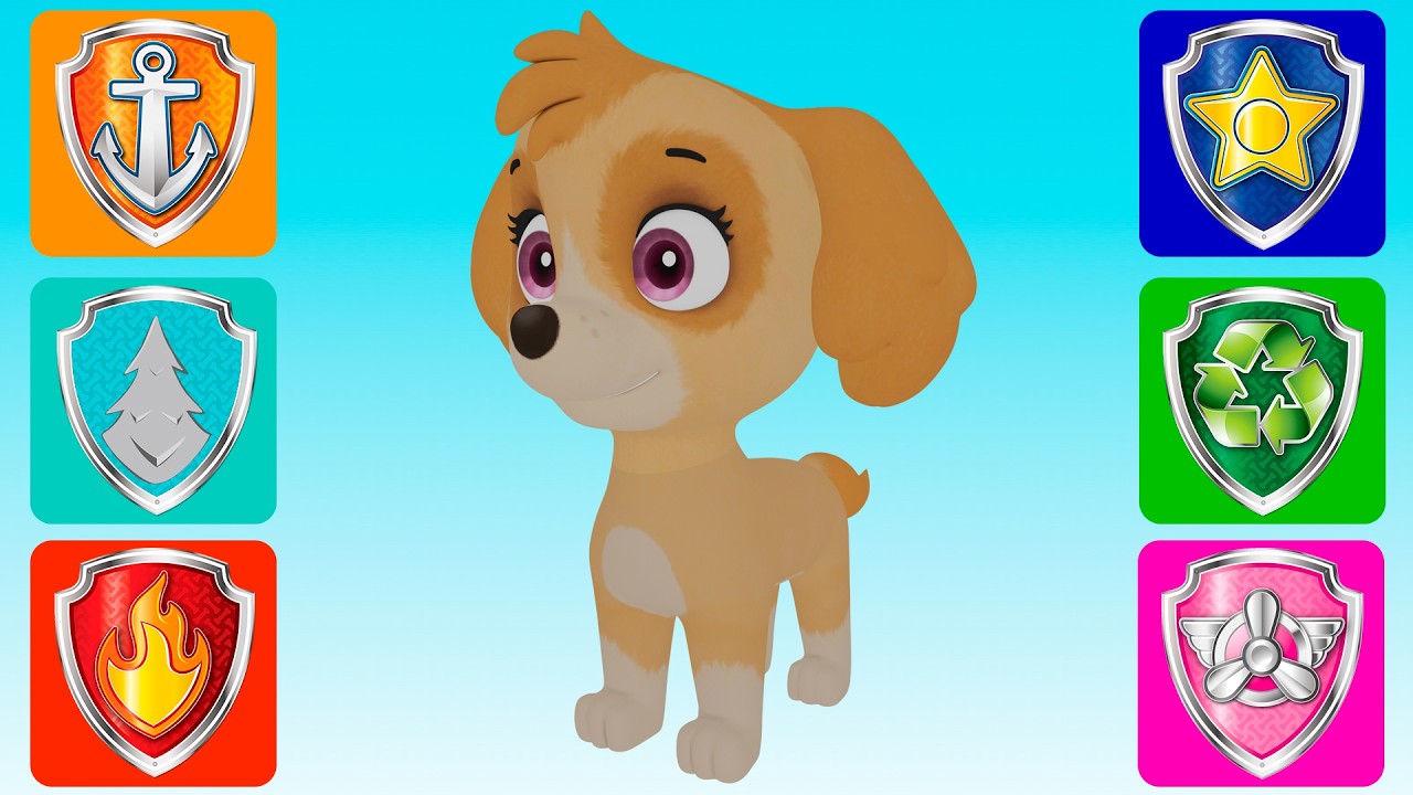 PAW Patrol Skye | Wrong clothing