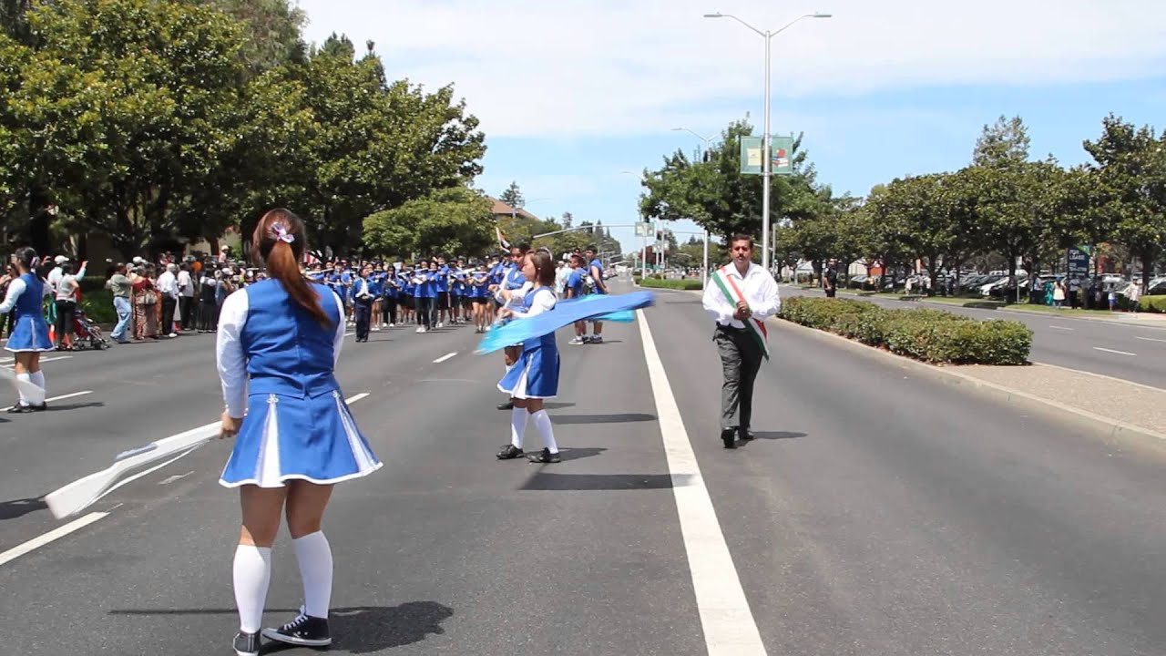 TBC Festival of India Parade 2013 #1