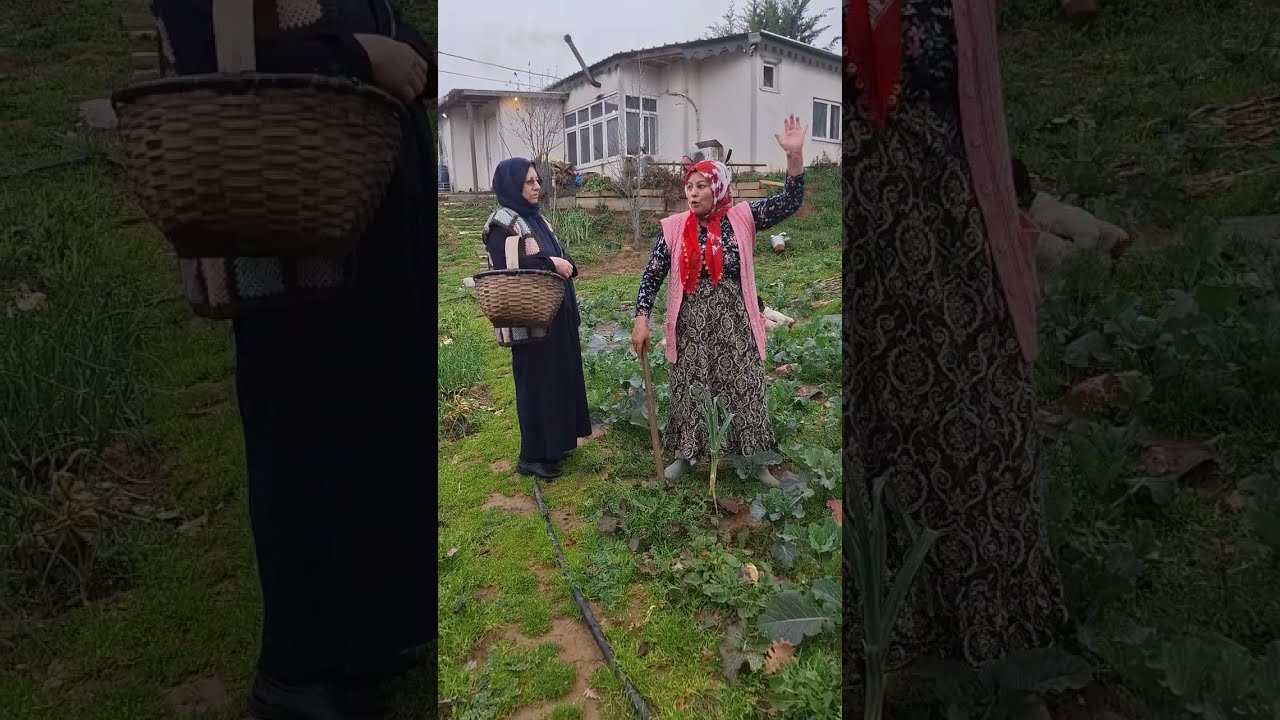 Komşum pancara geldi‼️‼️‼️‼️