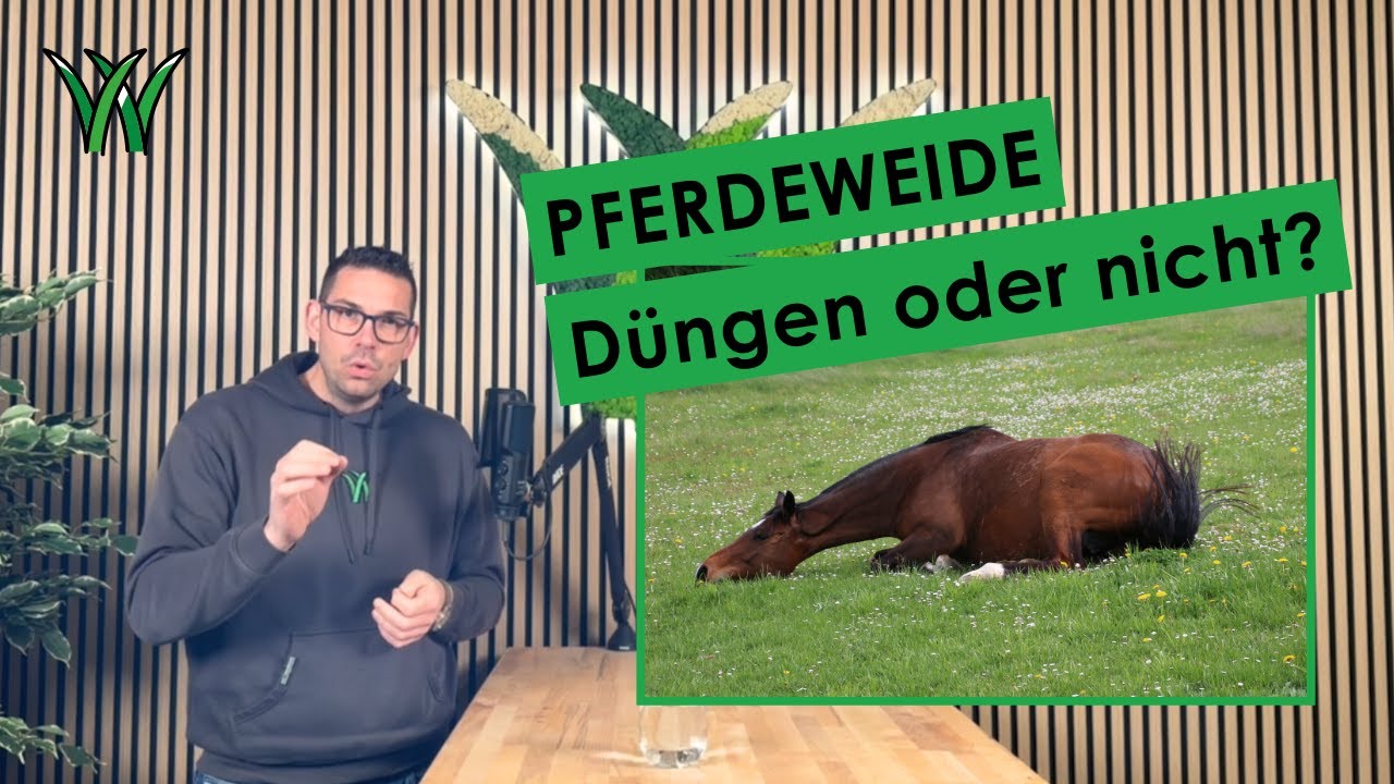 Pferdeweide düngen oder nicht? Eine Entscheidung mit Folgen