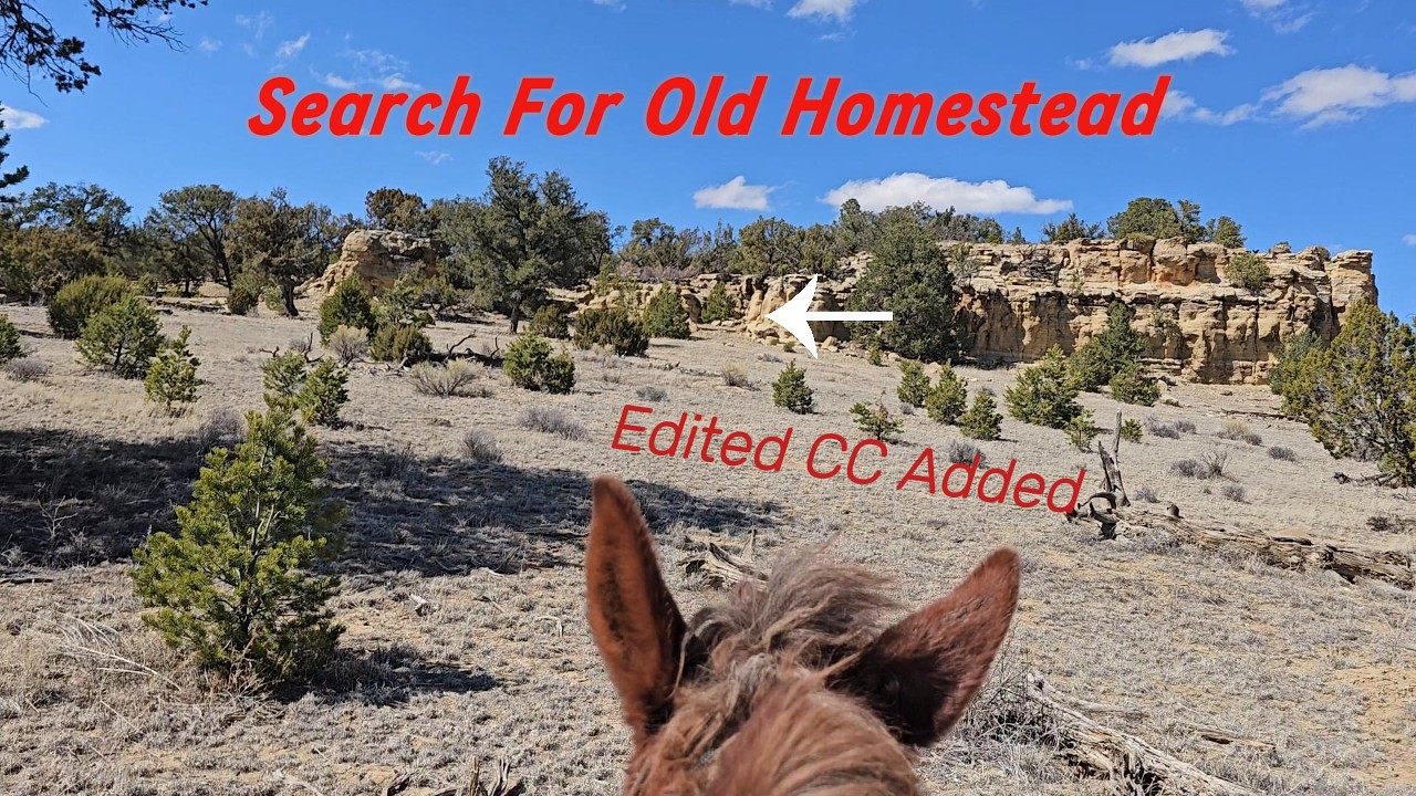 Edited CC Added, Rediscovering History: Finding an Old Homestead After Many Years