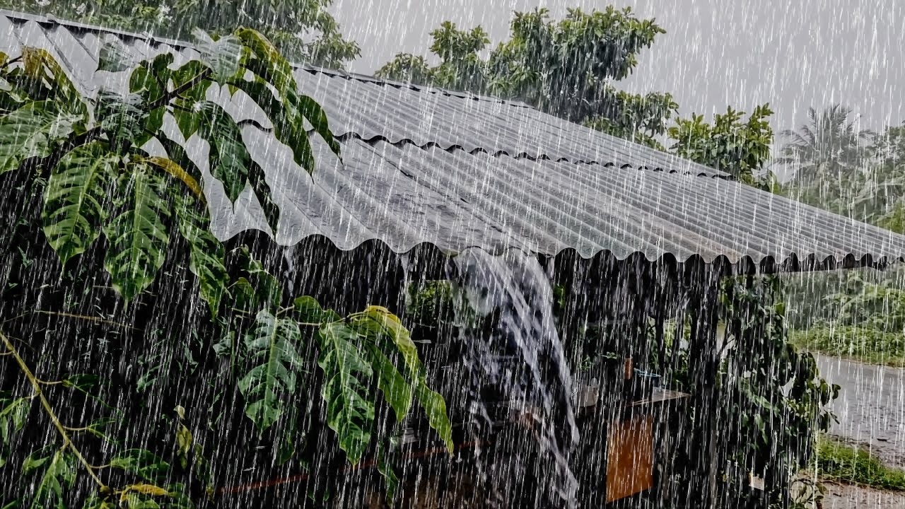 Extreme Heavy Rain 🌧️ | Calm Rain Sound for Sleep When Your Thoughts Feel Too Loud
