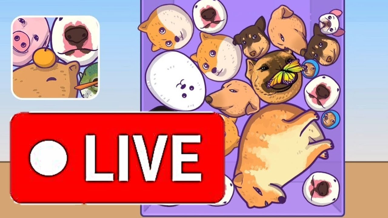 merge fellas live gameplay highest score double giva 13 . 