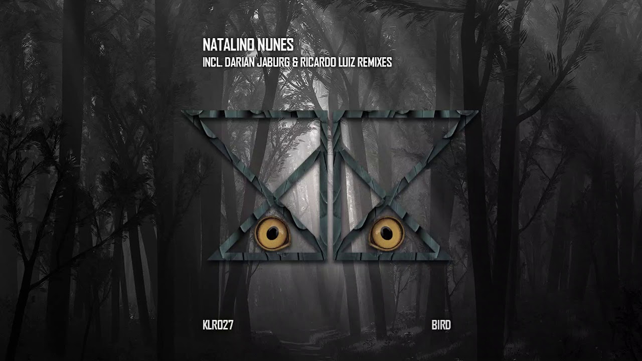 Natalino Nunes - Bird (Darian Jaburg Remix)