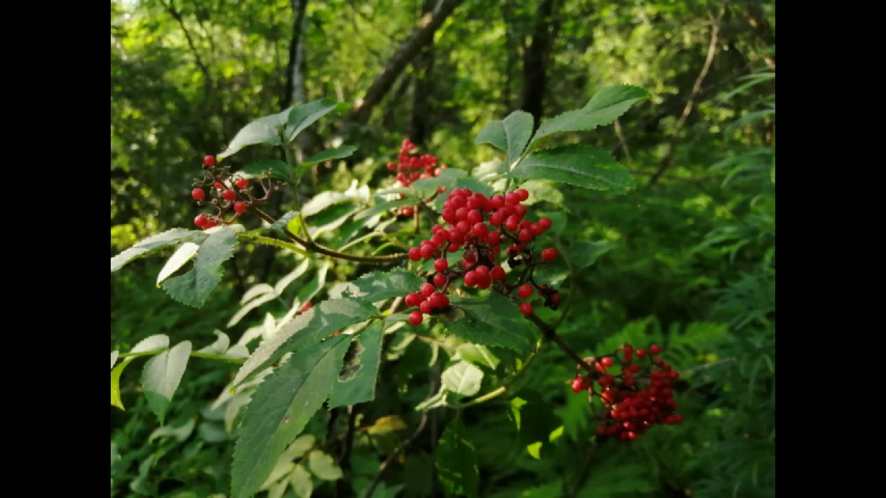 DJ Alex Ch   Theme 27  Music Remix Style 2018 Genre;Eurodance