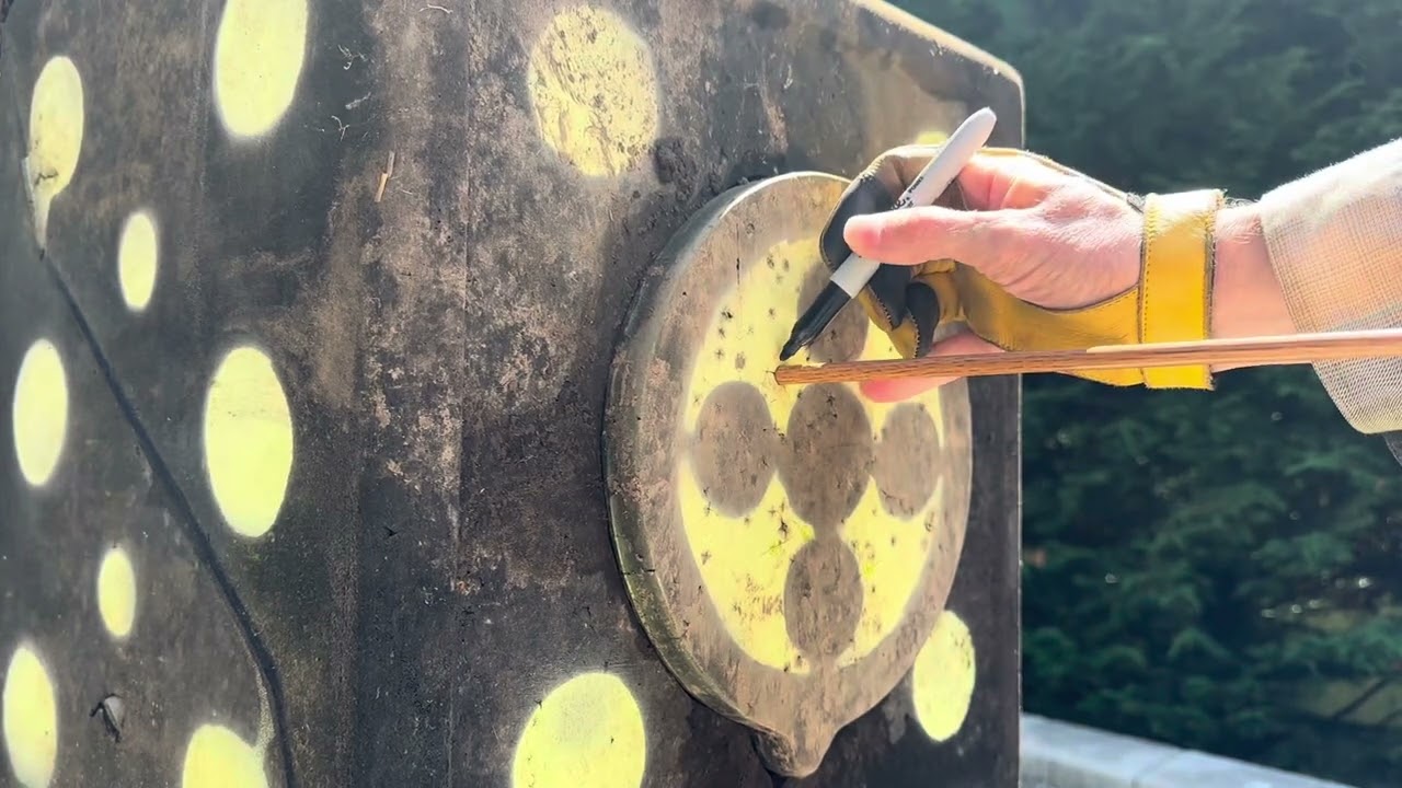 Broadhead Penetration Test: VPA 3 Blade vs VPA 2 Blade