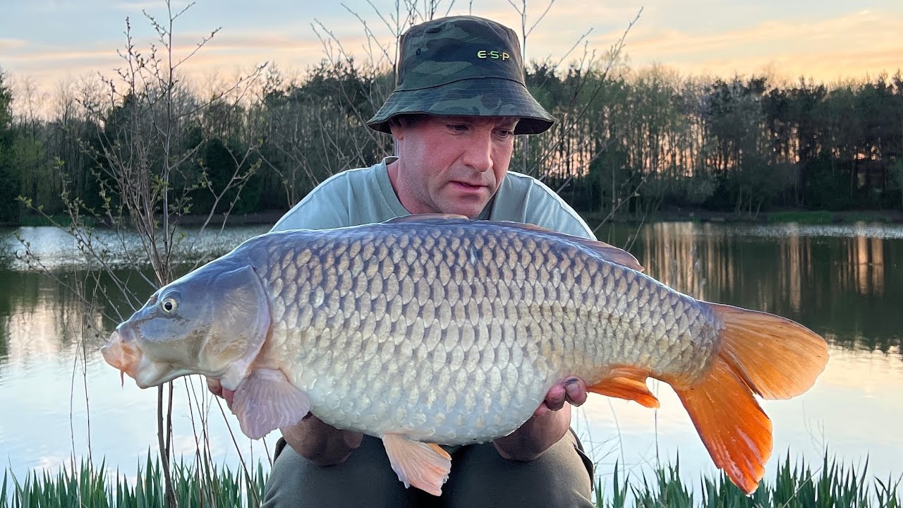 Runs Water Carp Fishing Middle Pool Baden Hall Fishery