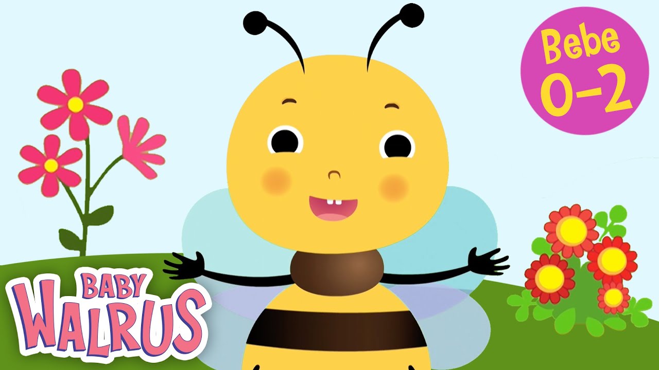 Moje prve reči #1 | Boje | Edukativni serijal za bebe 0-2 | Baby Walrus na Srpskom
