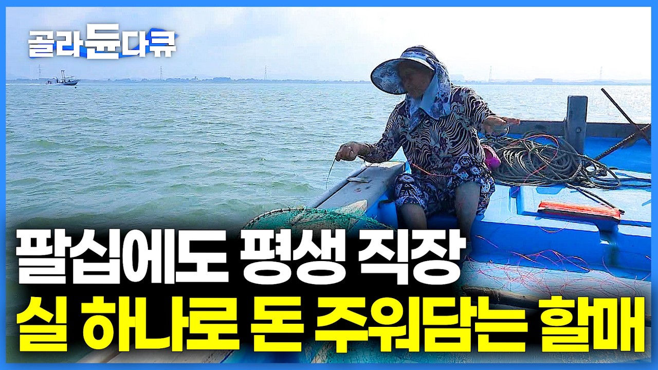 이게 평생 직장이지. 실 하나로 농어부터 우럭까지 줄줄이 잡는 섬마을 할매ㅣ한국기행ㅣ#골라듄다큐