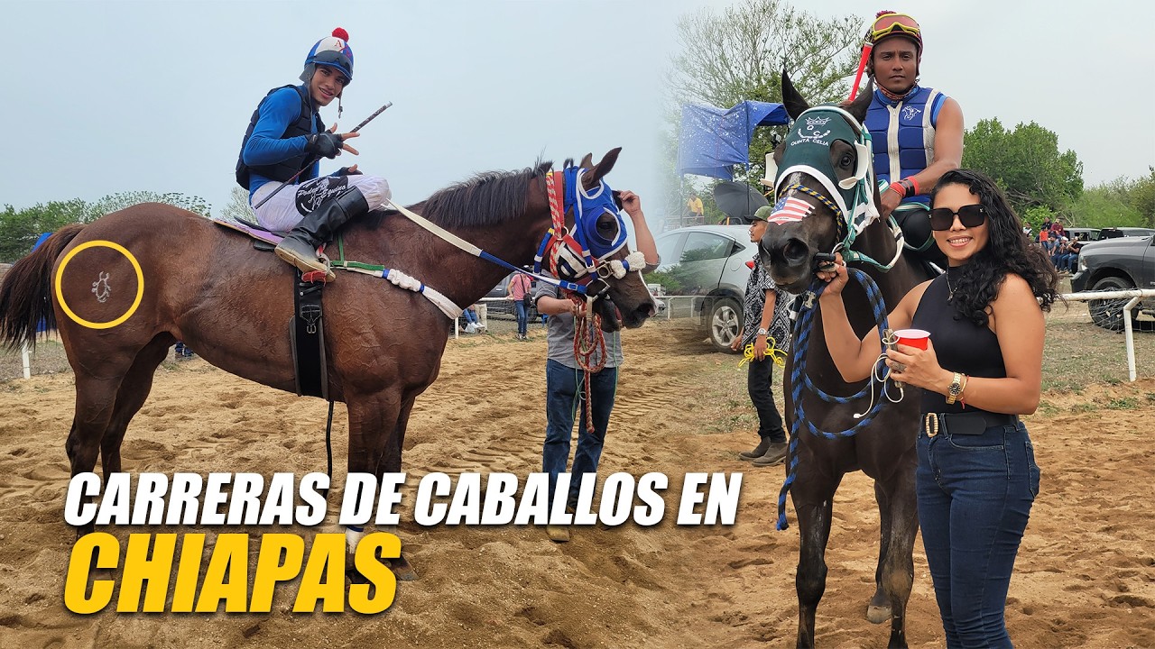 Carreras de Caballos en Tonala  Chiapas - 8 de Junio 2024