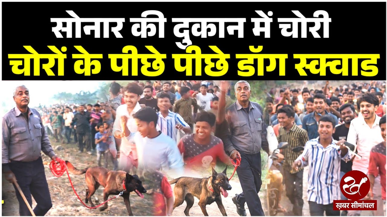 पलासी में सोनार की दुकान में चोरी का मामला, पुलिस ने चोरों की धर पकड़ के लिए डॉग स्क्वाड को लगाया