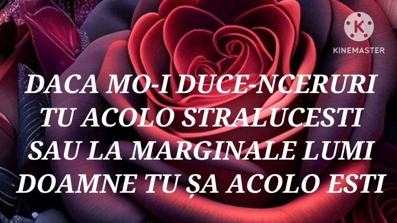 NEGATIV ALIN PARNO UNDE MA VOI DUCE DOAMNE NOU 2024