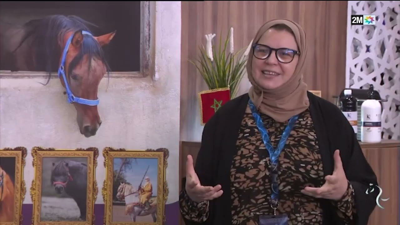 SALON DU CHEVAL D'EL JADIDA : jeudi 03 Octobre 2024