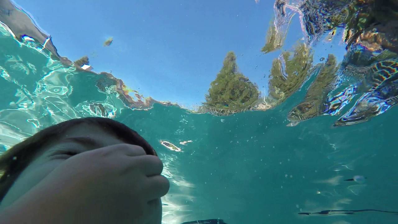 Noel swimming underwater with his eyes open