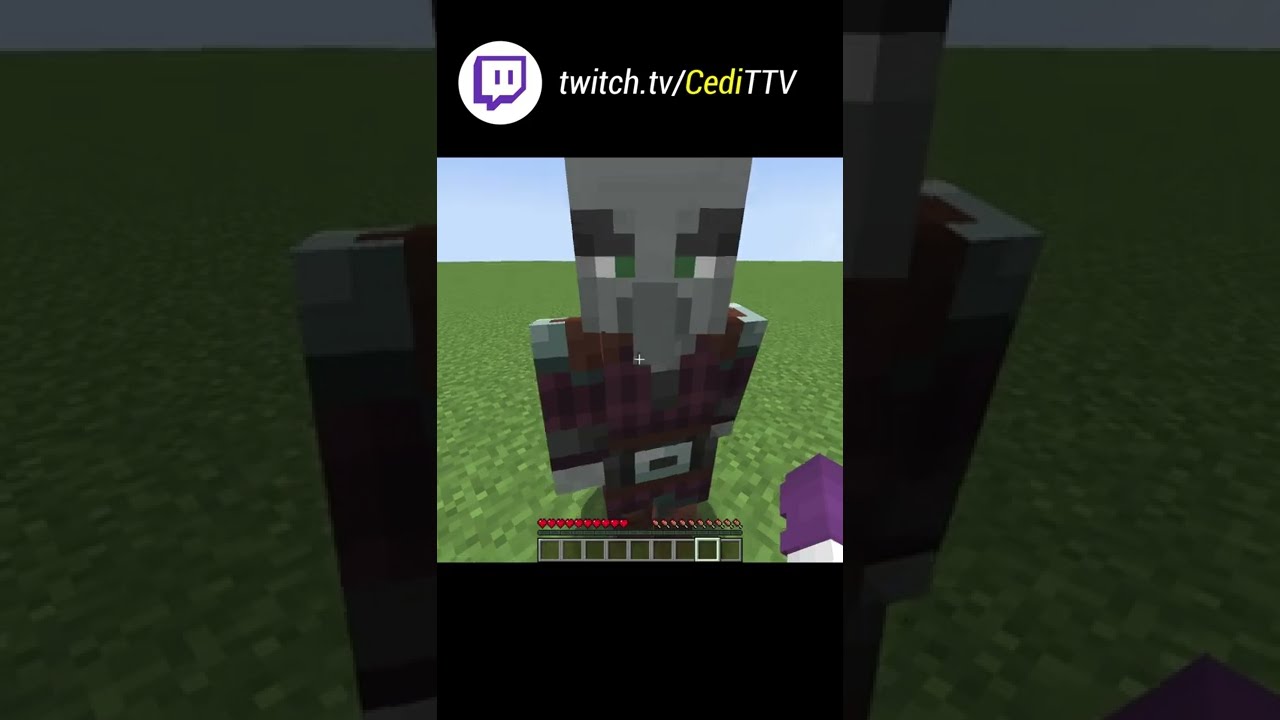 Jak oswoić PILLAGERA w MINECRAFT? #Shorts